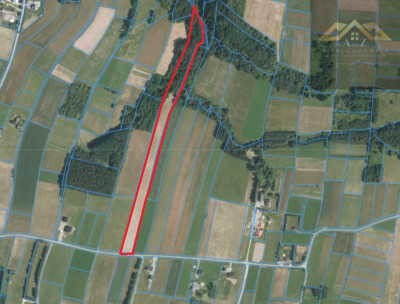 Stoisz wysoko patrzysz daleko widoki rozchodzą się tu szerokimi kadrami idealna działka - Ołpiny  -
małopolskie Zdjęcie nr 2