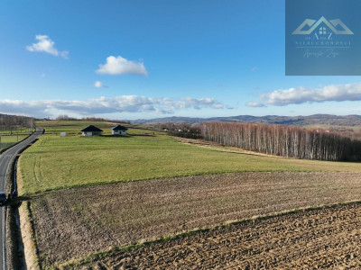 Stoisz wysoko patrzysz daleko widoki rozchodzą się tu szerokimi kadrami idealna działka - Ołpiny  -
małopolskie Zdjęcie nr 5