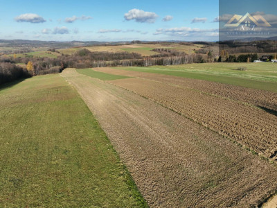 Stoisz wysoko patrzysz daleko widoki rozchodzą się tu szerokimi kadrami idealna działka - Ołpiny  -
małopolskie Zdjęcie nr 8