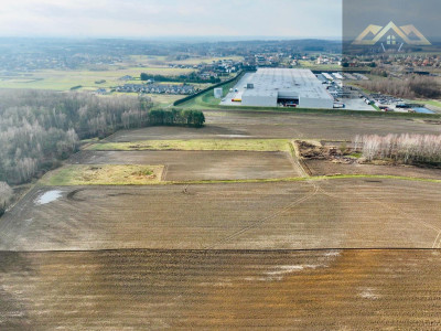 Działka z lasem w atrakcyjnej lokalizacji - Lisia Góra  -
małopolskie Zdjęcie nr 3