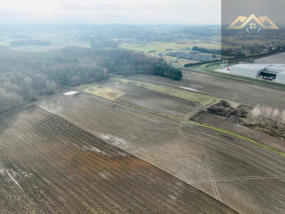 Działka z lasem w atrakcyjnej lokalizacji - Lisia Góra  -
małopolskie Zdjęcie nr 4