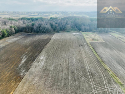 Działka z lasem w atrakcyjnej lokalizacji - Lisia Góra  -
małopolskie Zdjęcie nr 5