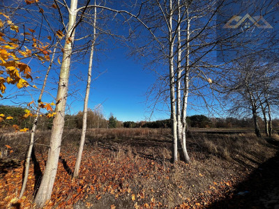 Na sprzedaż 4 działki z WZ pod inwestycję lub dla rodziny blisko lasu - Stare Żukowice  -
małopolskie Zdjęcie nr 2