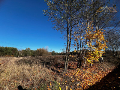 Na sprzedaż 4 działki z WZ pod inwestycję lub dla rodziny blisko lasu - Stare Żukowice  -
małopolskie Zdjęcie nr 3