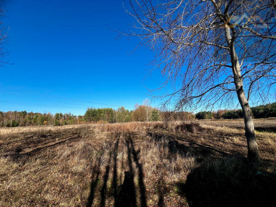 Na sprzedaż 4 działki z WZ pod inwestycję lub dla rodziny blisko lasu - Stare Żukowice  -
małopolskie Zdjęcie nr 7