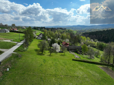 Działka z widokiem na las - Tuchów  -
małopolskie Zdjęcie nr 3