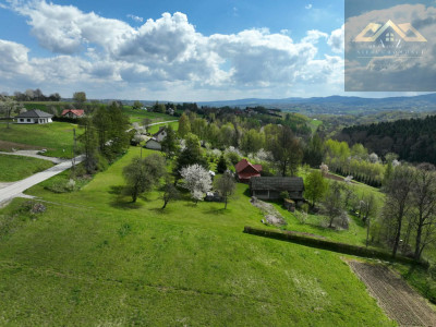 Działka z widokiem na las - Tuchów  -
małopolskie Zdjęcie nr 6