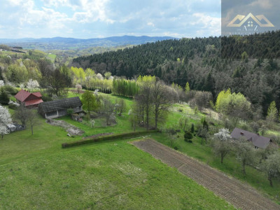 Działka z widokiem na las - Tuchów  -
małopolskie Zdjęcie nr 8