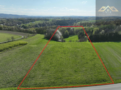 Działka rolno-budowlana - Zalasowa  - małopolskie