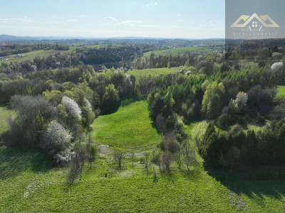 Działka rolno-budowlana - Zalasowa  -
małopolskie Zdjęcie nr 3
