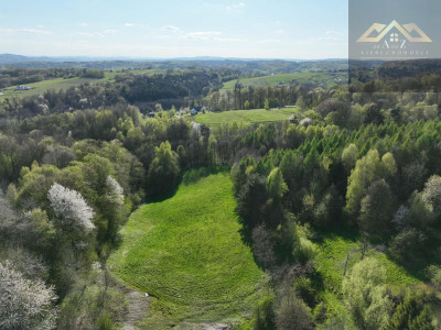 Działka rolno-budowlana - Zalasowa  -
małopolskie Zdjęcie nr 4