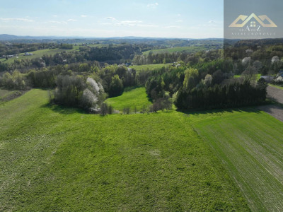 Działka rolno-budowlana - Zalasowa  -
małopolskie Zdjęcie nr 5