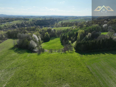 Działka rolno-budowlana - Zalasowa  -
małopolskie Zdjęcie nr 6