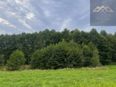 Widokowa działka budowlano-rolna - Sulistrowa   -
podkarpackie Zdjęcie nr 5