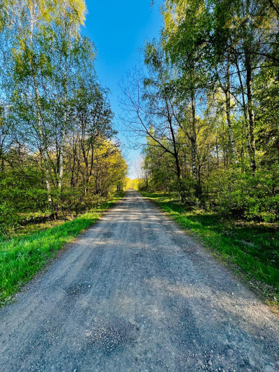 Działka w lesie z waarunkami zabudowy - Biadoliny Radłowskie  -
małopolskie Zdjęcie nr 7