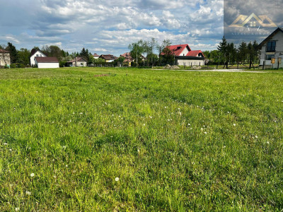 Działki budowlane w gm Dębno - Biadoliny Szlacheckie  -
małopolskie Zdjęcie nr 3