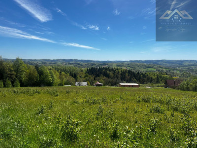 Widokowa działka na Pogórze i Tatry - Siemiechów  -
małopolskie Zdjęcie nr 2