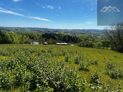 Widokowa działka na Pogórze i Tatry - Siemiechów  -
małopolskie Zdjęcie nr 4