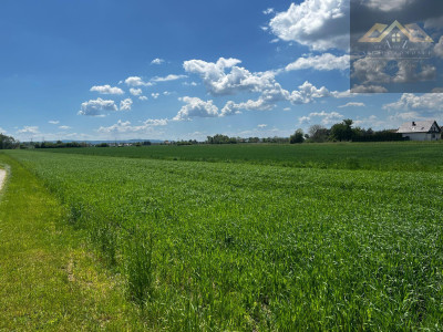 Duża działka blisko Tarnowa gm Wierzchosławice - Wierzchosławice  - małopolskie