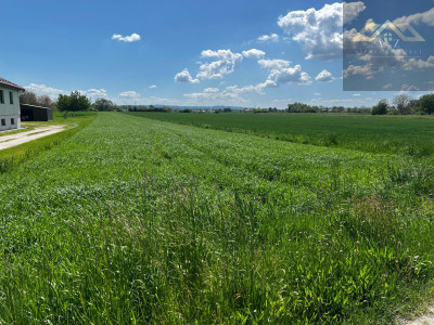 Duża działka blisko Tarnowa gm Wierzchosławice - Wierzchosławice  -
małopolskie Zdjęcie nr 5