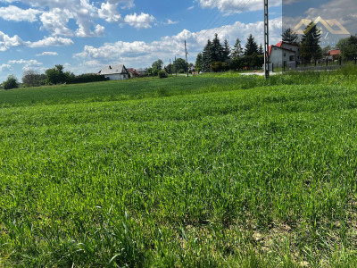 Duża działka blisko Tarnowa gm Wierzchosławice - Wierzchosławice  -
małopolskie Zdjęcie nr 6