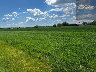 Duża działka blisko Tarnowa gm Wierzchosławice - Wierzchosławice  -
małopolskie Zdjęcie nr 7