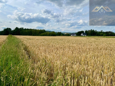Działka budowlana z widokiem na Zamek w Melsztynie - Zakliczyn  -
małopolskie Zdjęcie nr 2