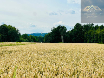 Działka budowlana z widokiem na Zamek w Melsztynie - Zakliczyn  -
małopolskie Zdjęcie nr 3