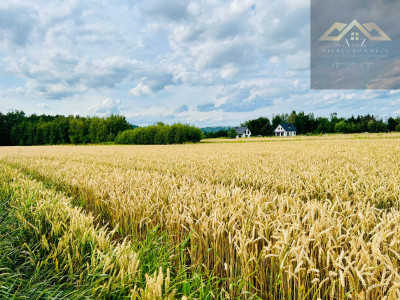 Działka budowlana z widokiem na Zamek w Melsztynie - Zakliczyn  -
małopolskie Zdjęcie nr 4