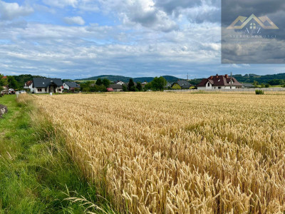 Działka budowlana z widokiem na Zamek w Melsztynie - Zakliczyn  -
małopolskie Zdjęcie nr 6