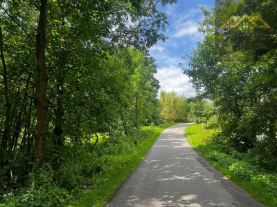 Działka z prywatnym lasem  WZ  134 ha l Okazja - Milówka  -
małopolskie Zdjęcie nr 2
