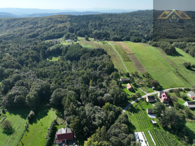 Działka z prywatnym lasem  WZ  134 ha l Okazja - Milówka  -
małopolskie Zdjęcie nr 3