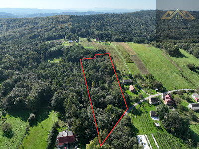 Działka z prywatnym lasem  WZ  134 ha l Okazja - Milówka  -
małopolskie Zdjęcie nr 5