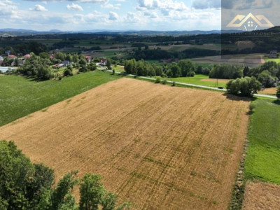 Budowlana 91 ar Lichwin gm Pleśna przy lesie - Lichwin  -
małopolskie Zdjęcie nr 11