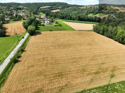 Budowlana 91 ar Lichwin gm Pleśna przy lesie - Lichwin  -
małopolskie Zdjęcie nr 12