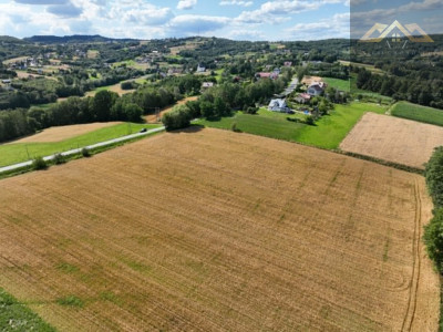 Budowlana 91 ar Lichwin gm Pleśna przy lesie - Lichwin  -
małopolskie Zdjęcie nr 14