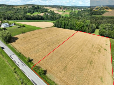 Budowlana 91 ar Lichwin gm Pleśna przy lesie - Lichwin  -
małopolskie Zdjęcie nr 2