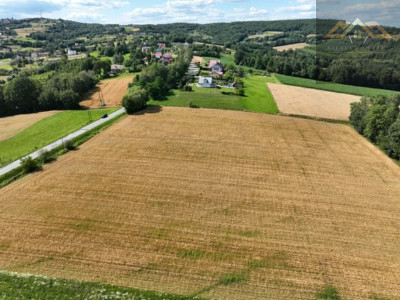 Budowlana 91 ar Lichwin gm Pleśna przy lesie - Lichwin  -
małopolskie Zdjęcie nr 3