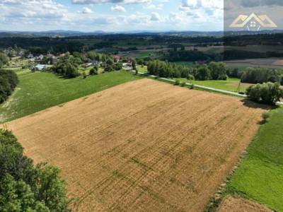 Budowlana 91 ar Lichwin gm Pleśna przy lesie - Lichwin  -
małopolskie Zdjęcie nr 6