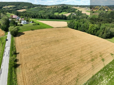 Budowlana 91 ar Lichwin gm Pleśna przy lesie - Lichwin  -
małopolskie Zdjęcie nr 7