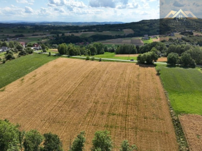 Budowlana 91 ar Lichwin gm Pleśna przy lesie - Lichwin  -
małopolskie Zdjęcie nr 8