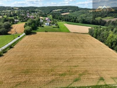 Budowlana 91 ar Lichwin gm Pleśna przy lesie - Lichwin  -
małopolskie Zdjęcie nr 9