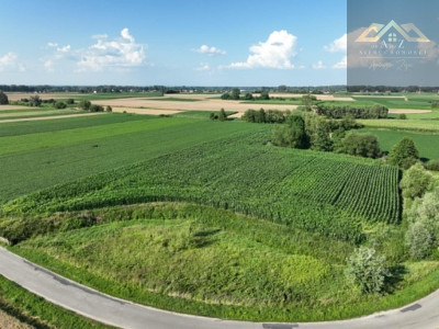 Działka rolna 80 arów w Miechowicach - Miechowice Małe  -
małopolskie Zdjęcie nr 10