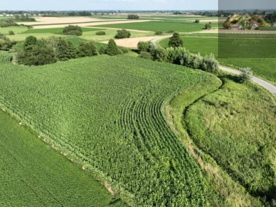 Działka rolna 80 arów w Miechowicach - Miechowice Małe  -
małopolskie Zdjęcie nr 11
