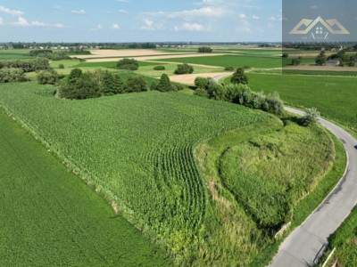Działka rolna 80 arów w Miechowicach - Miechowice Małe  -
małopolskie Zdjęcie nr 2
