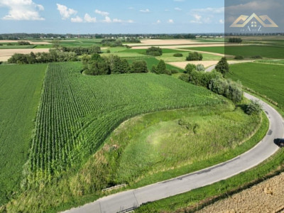 Działka rolna 80 arów w Miechowicach - Miechowice Małe  -
małopolskie Zdjęcie nr 3
