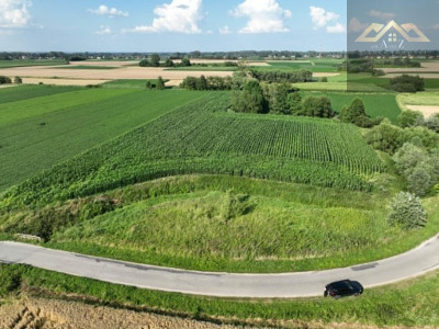 Działka rolna 80 arów w Miechowicach - Miechowice Małe  -
małopolskie Zdjęcie nr 4