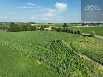 Działka rolna 80 arów w Miechowicach - Miechowice Małe  -
małopolskie Zdjęcie nr 5