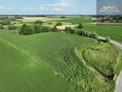 Działka rolna 80 arów w Miechowicach - Miechowice Małe  -
małopolskie Zdjęcie nr 6