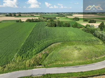 Działka rolna 80 arów w Miechowicach - Miechowice Małe  -
małopolskie Zdjęcie nr 8
